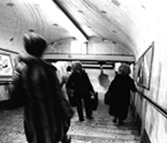 Img0012br.jpg (17609 byte)