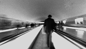 Img0017br.jpg (14211 byte)